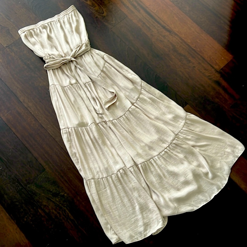 Naked Zebra Strapless Maxi Dress